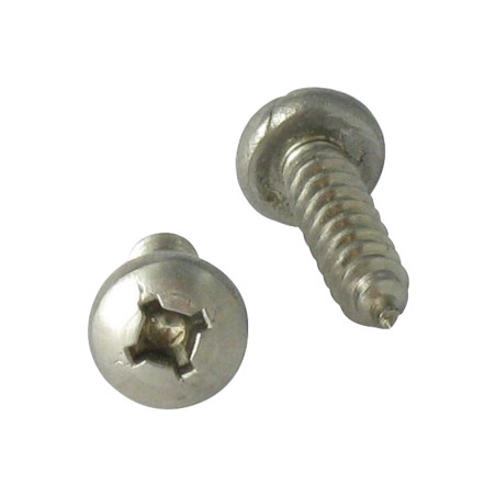 1 x Vite Per Lamiera Acciaio Inox A2 Testa Cilindrica Quadrato Phillips 4,8 x 38 SQ2+PH2