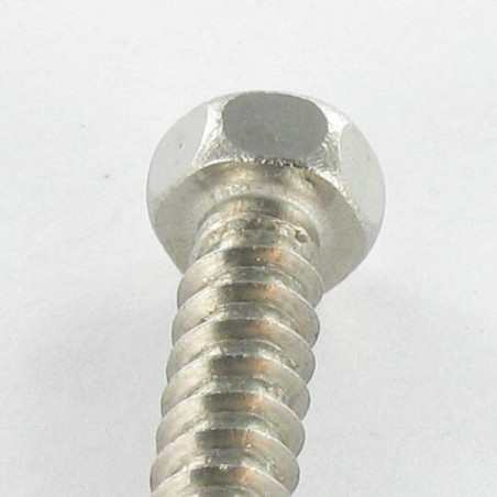 1 x Vite Per Lamiera Acciaio Inox A2 Testa Esagonale 5,5X19