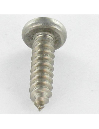 1 x Vite Per Lamiera Acciaio Inox A2 Testa...