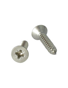 Vite Per Lamiera Acciaio Inox A2 Testa Forata Pozy 3,9 x 9,5