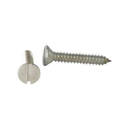 1 x Vite Per Lamiera Acciaio Inox A2 Testa Forata Con Intaglio 2,9 x 9,5