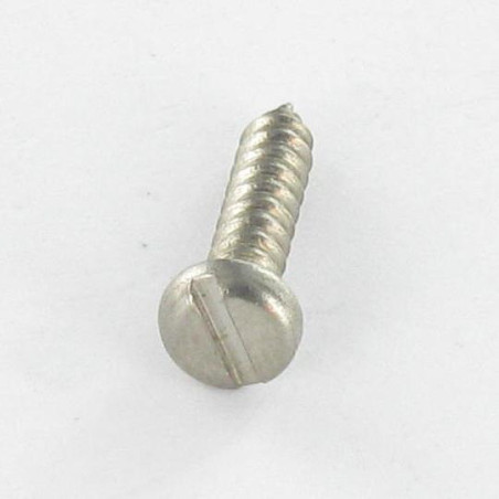 1 x Vite Per Lamiera Acciaio Inox A2 Testa Cilindrica Con Intaglio 4,2 x 13