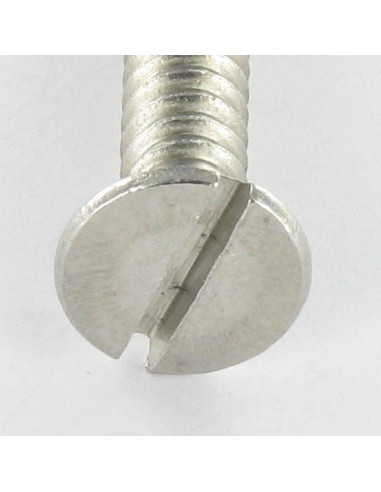 1 x Vite Per Lamiera Acciaio Inox A2 Testa...