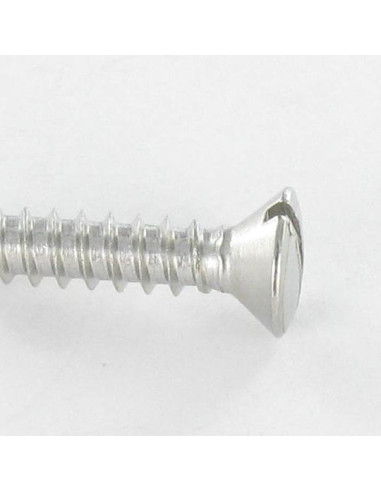 1 x Vite Per Lamiera Acciaio Inox A2 Testa...