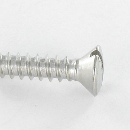 1 x Vite Per Lamiera Acciaio Inox A2 Testa Forata Bombata Con Intaglio 4,2 x 45
