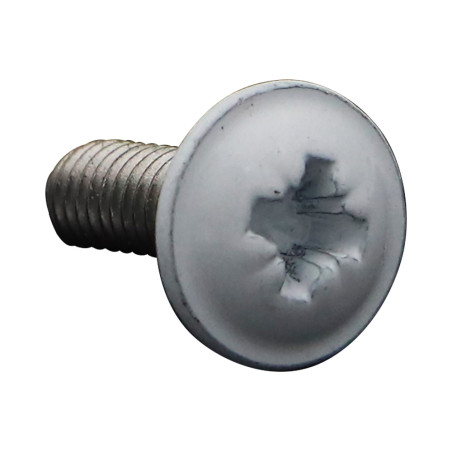 1 x Vite Per Metalli Testa Poelier Larga Pozy M6X16 Acciaio Inox A2 Laccato Bianco Ral9016 Bianco Traffico