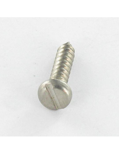 1 x Vite Per Lamiera Acciaio Inox A2 Testa...