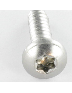 Vite Per Lamiera testa bombata larga 3,9X25 Acciaio Inox... 2