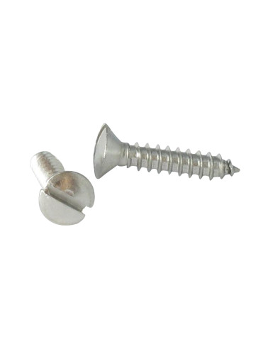 1 x Vite Per Lamiera Acciaio Inox A2 Testa...
