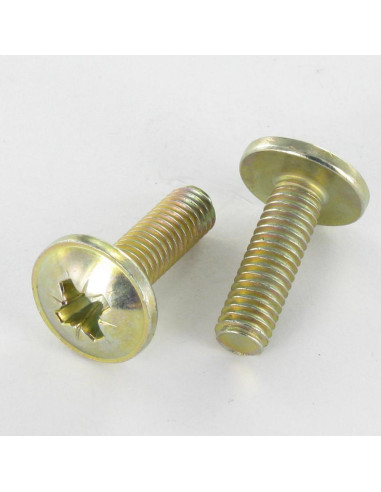 1 x Vite Testa Poelier Larga Pozy M6X24...