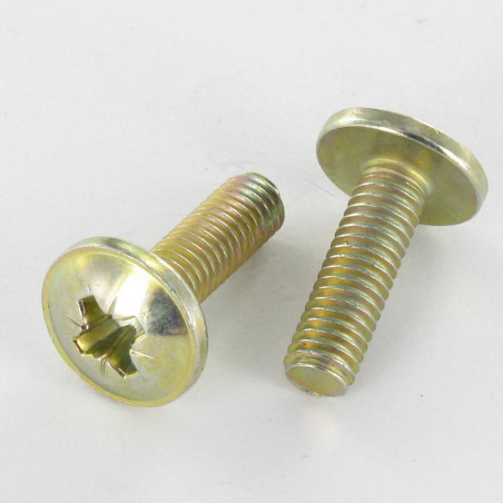 1 x Vite Testa Poelier Larga Pozy M6X24 Diametro Della Testa: 14.5 Bicromato