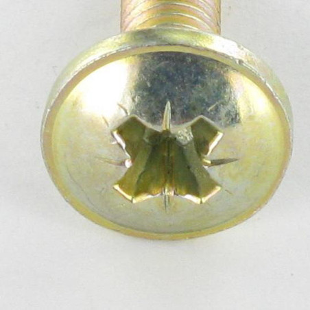 1 x Vite Testa Poelier Larga Pozy M6X24 Diametro Della Testa: 14.5 Bicromato