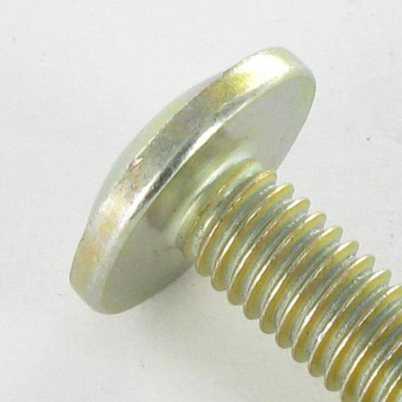 1 x Vite Testa Poelier Larga Pozy M6X24 Diametro Della Testa: 14.5 Bicromato