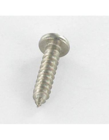 1 x Vite Per Lamiera Acciaio Inox A2 Testa...