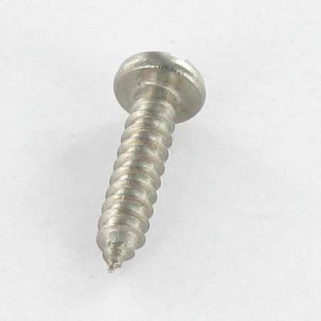 1 x Vite Per Lamiera Acciaio Inox A2 Testa Cilindrica Con Intaglio 3,5 x 6,4
