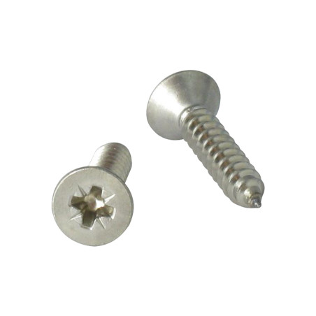 1 x Vite Per Lamiera Acciaio Inox A2 Testa Forata Pozy 6,3X38