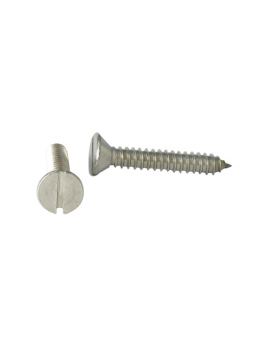 1 x Vite Per Lamiera Acciaio Inox A2 Testa...