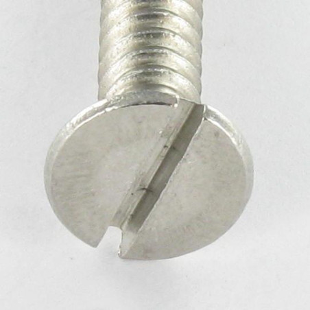 1 x Vite Per Lamiera Acciaio Inox A2 Testa Forata Con Intaglio 4.8X25