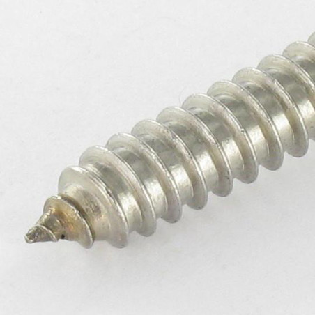 1 x Vite Per Lamiera Acciaio Inox A2 Testa Forata Con Intaglio 4.8X25