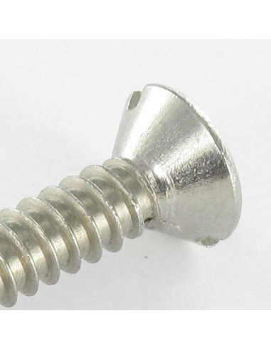 1 x Vite Per Lamiera Acciaio Inox A2 Testa...