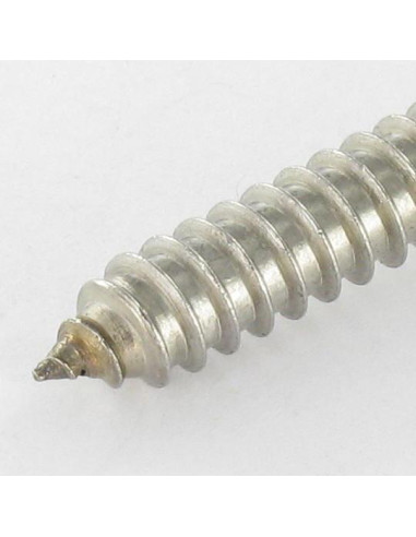 1 x Vite Per Lamiera Acciaio Inox A2 Testa...
