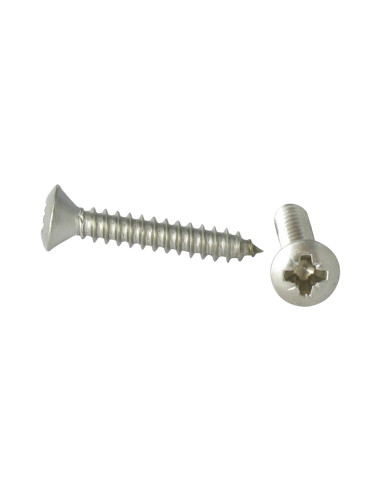1 x Vite Per Lamiera Acciaio Inox A2 Testa...