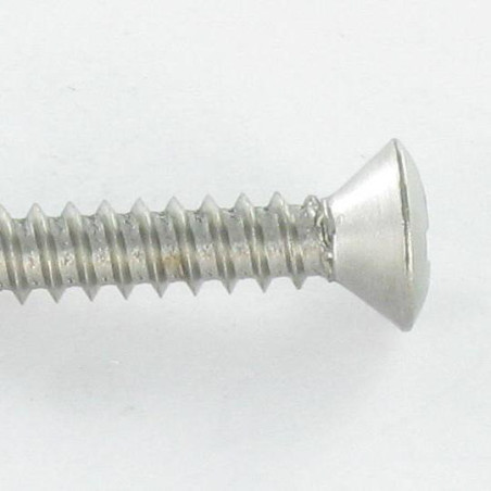 1 x Vite Per Lamiera Acciaio Inox A2 Testa Forata Bombata Pozy 3,9X25