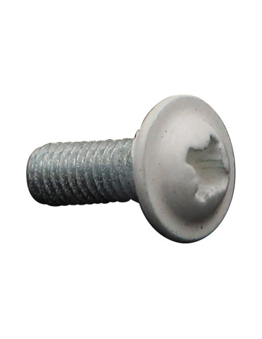 1 x Vite Testa Poelier Larga Pozy M6X16 Zincate...
