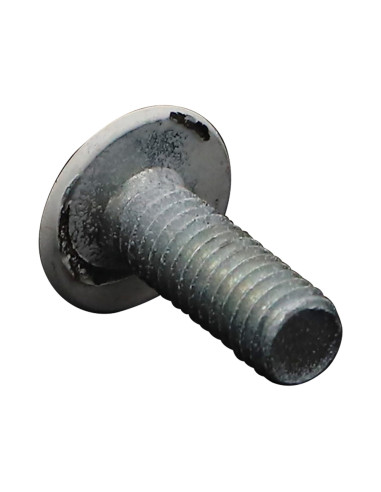1 x Vite Testa Poelier Larga Pozy M6X16 Zincate...