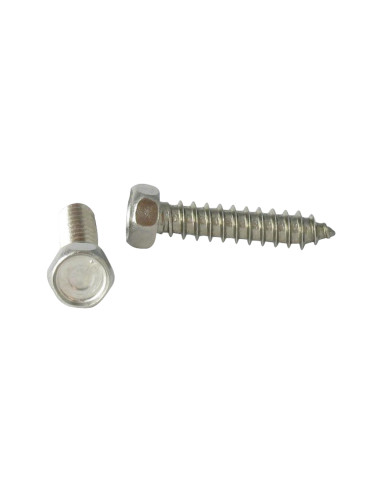 1 x Vite Per Lamiera Acciaio Inox A2 Testa...