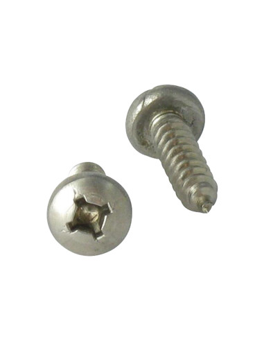 1 x Vite Per Lamiera Acciaio Inox A2 Testa...