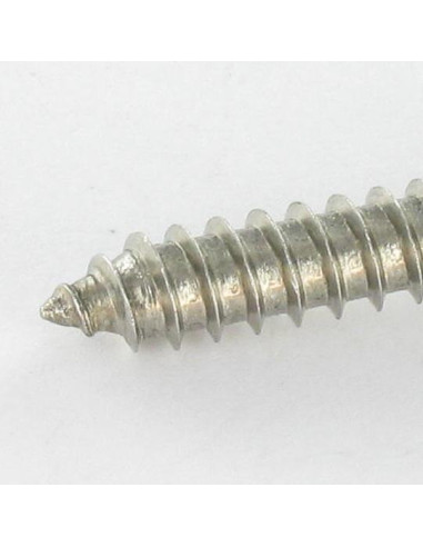 1 x Vite Per Lamiera Acciaio Inox A2 Testa...