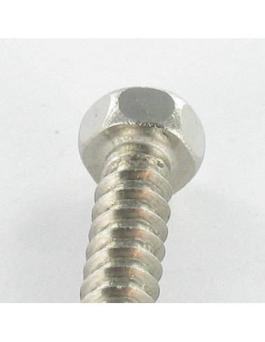 1 x Vite Per Lamiera Acciaio Inox A2 Testa...