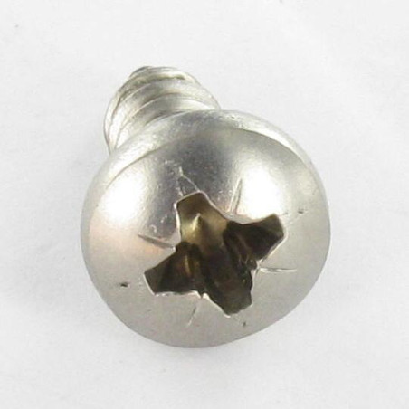 1 x Vite Per Lamiera Acciaio Inox A2 testa bombata larga Pozy 3,9X19