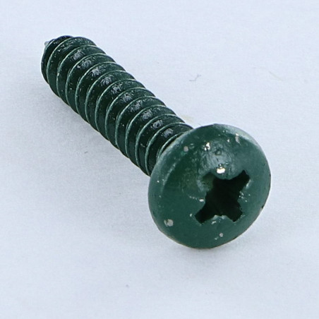 1 x Vite Per Lamiera Acciaio Inox A2 testa bombata larga Pozy 4.8X25 Verde Ral6005 Verde Muschio