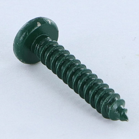 1 x Vite Per Lamiera Acciaio Inox A2 testa bombata larga Pozy 4.8X25 Verde Ral6005 Verde Muschio