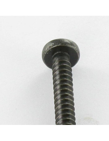 1 x Vite Per Lamiera Acciaio Inox A2 testa...