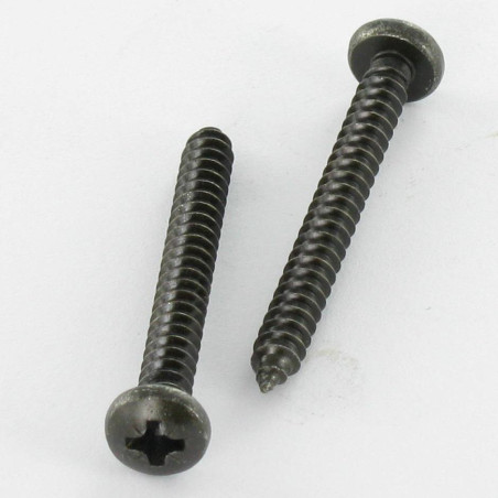 1 x Vite Per Lamiera Acciaio Inox A2 testa bombata larga Pozy 2,9X13 Nero
