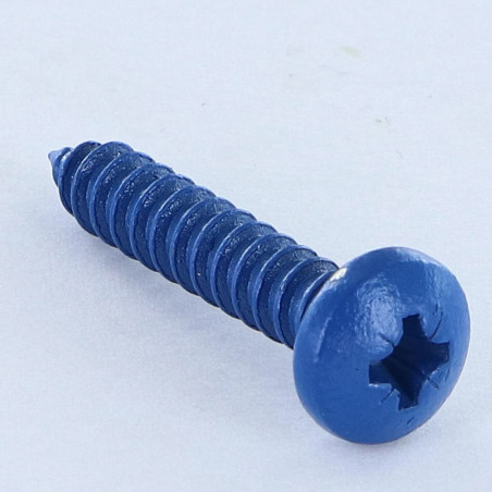1 x Vite Per Lamiera Acciaio Inox A2 testa bombata larga Pozy 4.8X25 Blu RAL5010