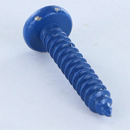 1 x Vite Per Lamiera Acciaio Inox A2 testa bombata larga Pozy 4.8X25 Blu RAL5010
