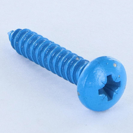 1 x Vite Per Lamiera Acciaio Inox A2 testa bombata larga Pozy 4.8X25 Blu RAL5012