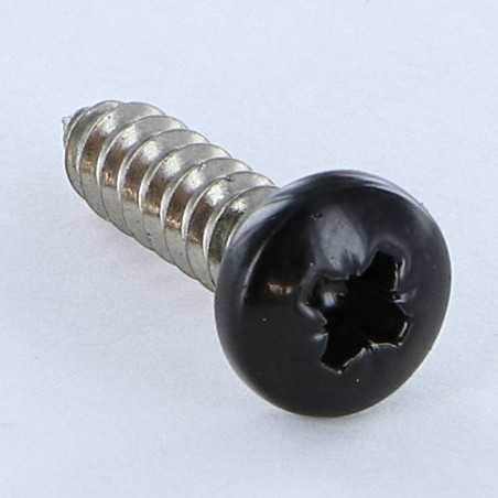 1 x Vite Per Lamiera Acciaio Inox A2 testa bombata larga Pozy 4,8X19 Ral9005 Nero Intenso