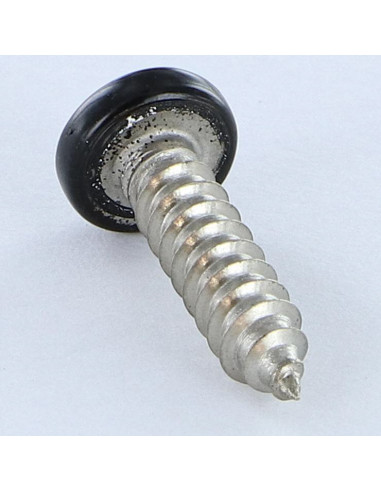 1 x Vite Per Lamiera Acciaio Inox A2 testa...