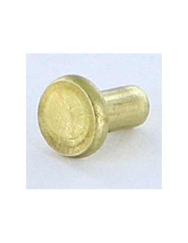 1 x Rivetto Testa Piatta 3X5.5 Diametro Della...