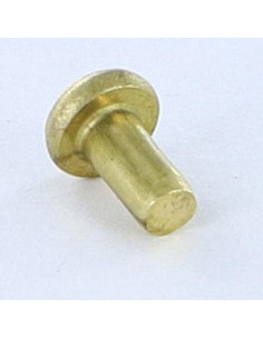 Rivetto Testa Piatta 3X5.5 Diametro Della Testa: 5.5... 2