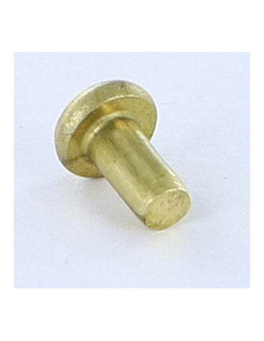 1 x Rivetto Testa Piatta 3X5.5 Diametro Della...