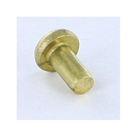 1 x Rivetto Testa Piatta 3X5.5 Diametro Della Testa: 5.5 EP1.3 Ottone