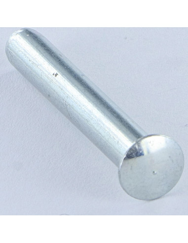1 x Rivetto Testa Bombata 4,5X25 Punta Conica...