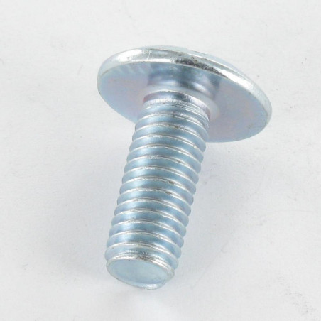 1 x Vite Testa Poelier Larga Con Intaglio In Croce M10X70 Zincate