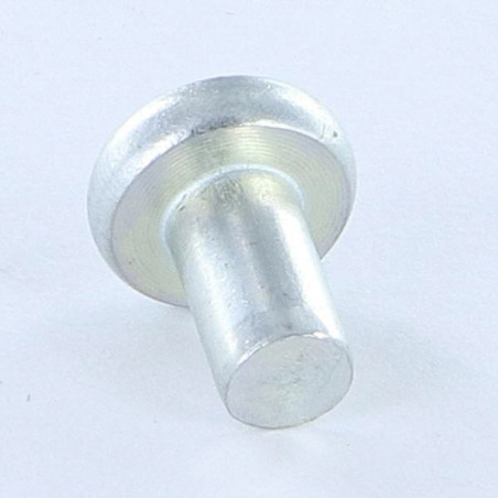 1 x Rivetto Testa Piatta 6,5 x 12 Zincate Diametro Della Testa: 12 EP2